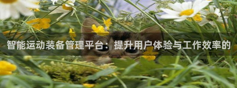 fb体育招商电话是多少