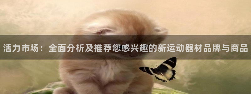 fb体育招商电话号码查询是多少：活力市场：全面分析及