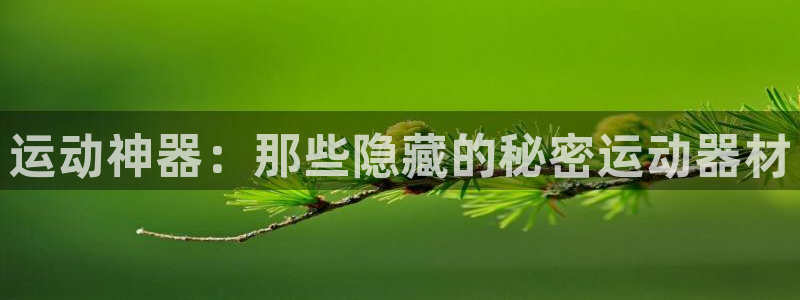 fb体育平台是正规平台吗安全吗：运动神器：那些隐藏的