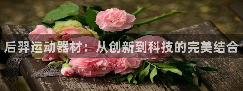 fb体育娱乐代理怎么样：后羿运动器材：从创新到科技的