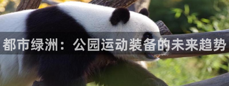 fb体育平台注册要钱吗安全吗：都市绿洲：公园运动装备