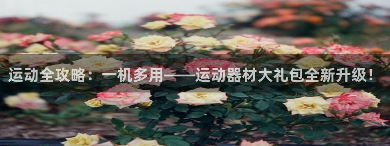 fb体育招商电话是多少啊：运动全攻略：一机多用——运