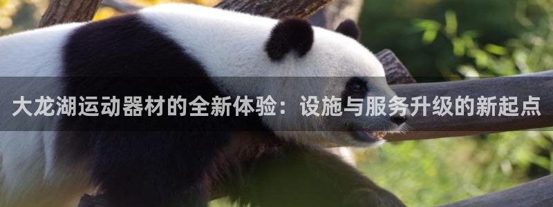 fb体育平台：大龙湖运动器材的全新体验：设施与服务升