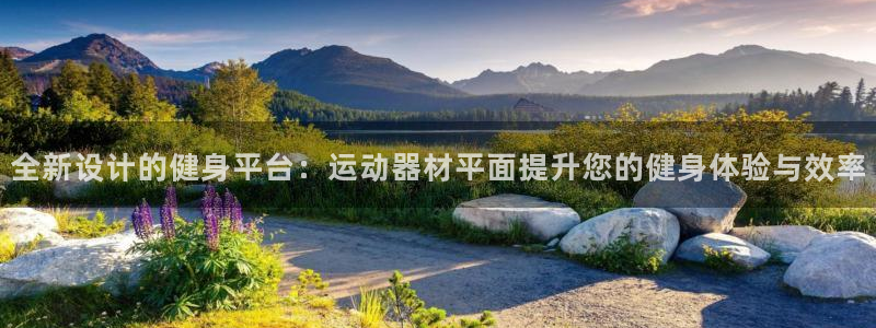 fb体育娱乐网站：全新设计的健身平台：运动器材平面提