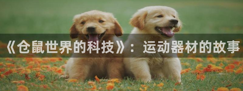 fb集团官网：《仓鼠世界的科技》：运动器材的故事