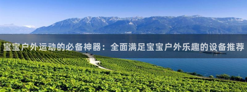 fb体育平台注册：宝宝户外运动的必备神器：全面满足宝