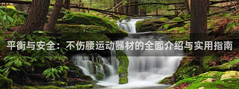 fb平台体育：平衡与安全：不伤腰运动器材的全面介绍与
