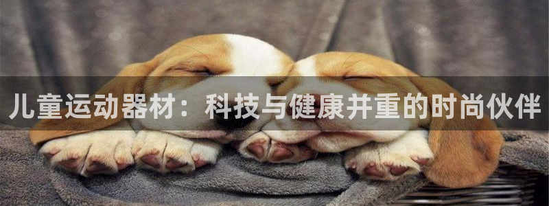 fb体育平台是正规平台吗知乎：儿童运动器材：科技与健