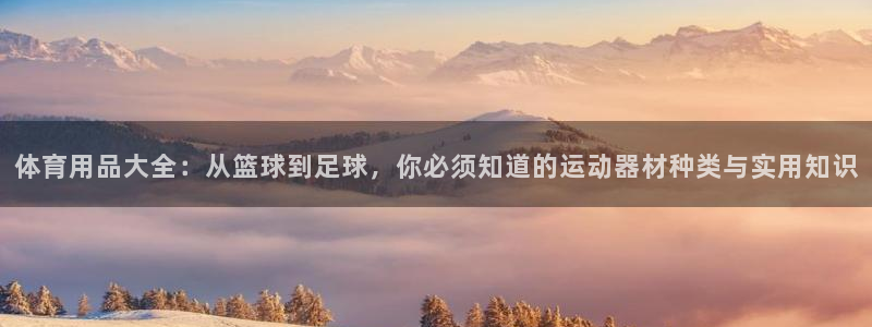fb体育联系电话：体育用品大全：从篮球到足球，你必须知道的运