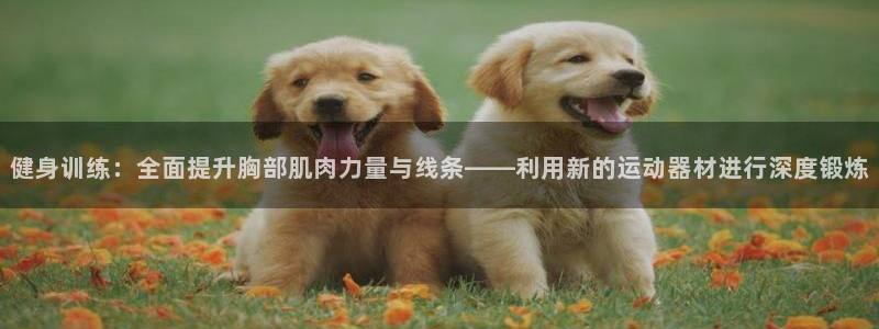 fb体育平台注册流程图：健身训练：全面提升胸部肌肉力量与线条