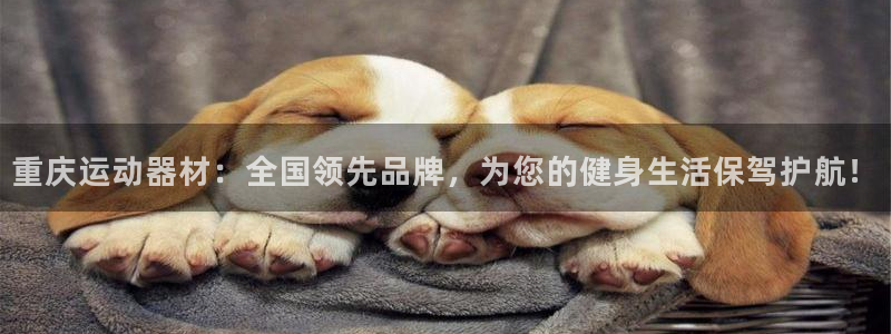 fb体育官方客服电话