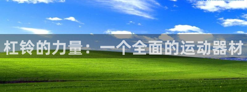 fb体育平台注册要钱吗：杠铃的力量：一个全面的运动器材