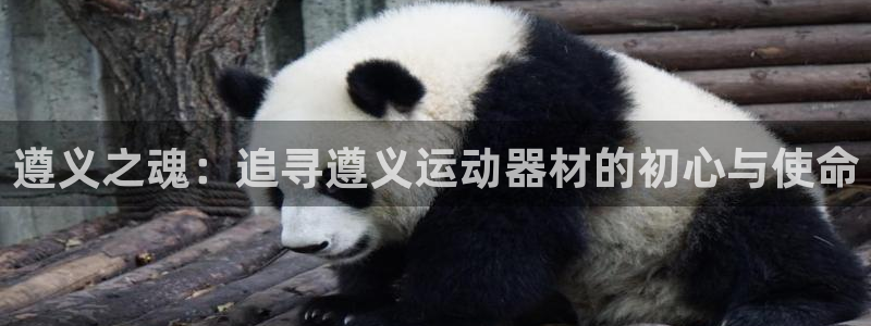 fb体育代理：遵义之魂：追寻遵义运动器材的初心与使命