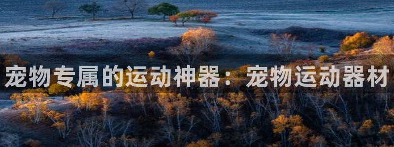 fb体育娱乐下载：宠物专属的运动神器：宠物运动器材